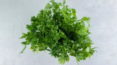 garnishing-instructions-image